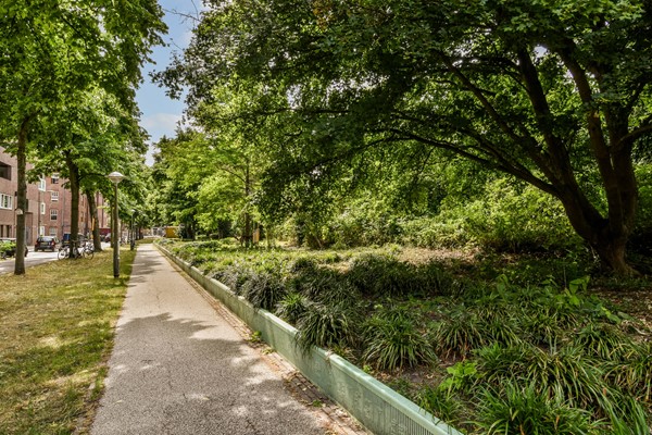 Medium property photo - Tugelaweg 42B, 1092 VH Amsterdam